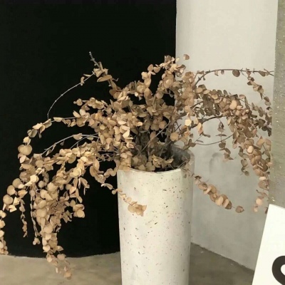 Furry插画构图实用思路福瑞群